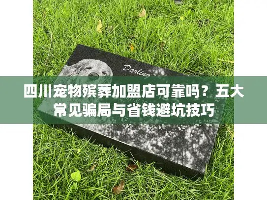四川宠物殡葬加盟店可靠吗？五大常见骗局与省钱避坑技巧