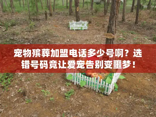宠物殡葬加盟电话多少号啊？选错号码竟让爱宠告别变噩梦！