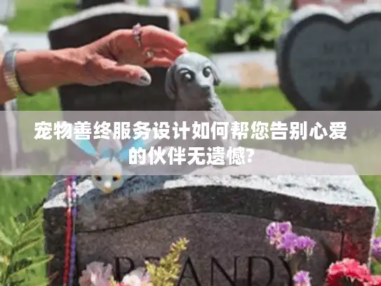 宠物善终服务设计如何帮您告别心爱的伙伴无遗憾?