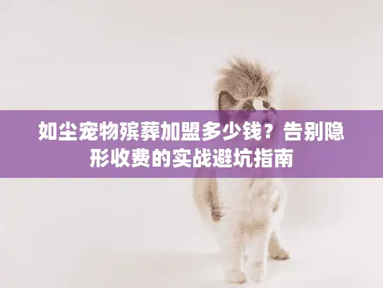 如尘宠物殡葬加盟多少钱？告别隐形收费的实战避坑指南