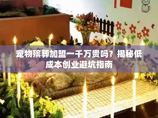 宠物殡葬加盟一千万贵吗？揭秘低成本创业避坑指南