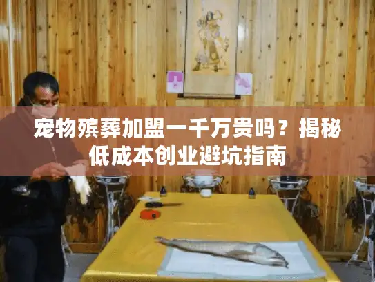 宠物殡葬加盟一千万贵吗？揭秘低成本创业避坑指南