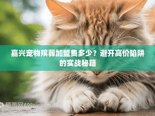 嘉兴宠物殡葬加盟费多少？避开高价陷阱的实战秘籍