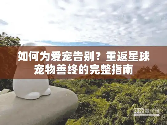 如何为爱宠告别？重返星球宠物善终的完整指南