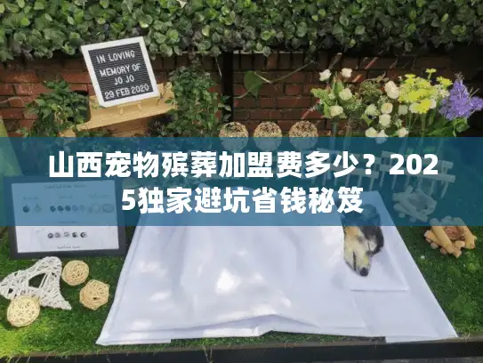 山西宠物殡葬加盟费多少？2025独家避坑省钱秘笈