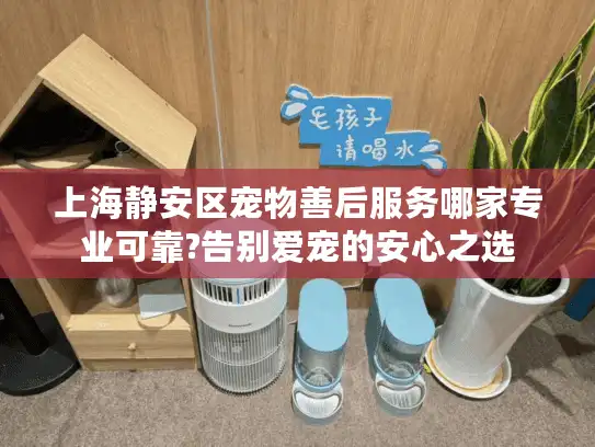 上海静安区宠物善后服务哪家专业可靠?告别爱宠的安心之选