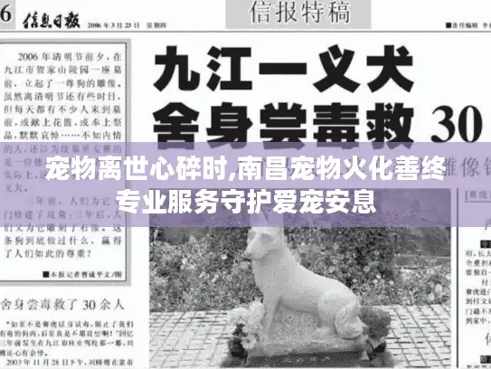 宠物离世心碎时,南昌宠物火化善终专业服务守护爱宠安息