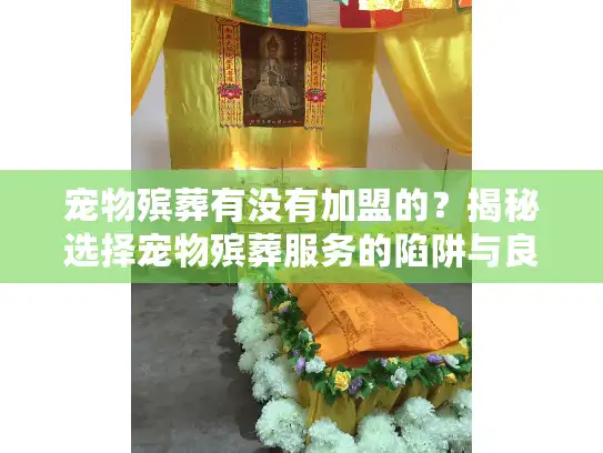 宠物殡葬有没有加盟的？揭秘选择宠物殡葬服务的陷阱与良策