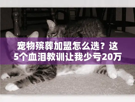 宠物殡葬加盟怎么选？这5个血泪教训让我少亏20万