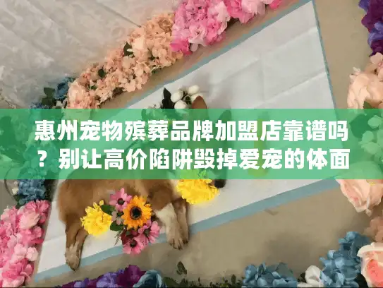 惠州宠物殡葬品牌加盟店靠谱吗？别让高价陷阱毁掉爱宠的体面告别！