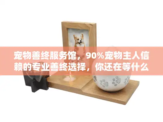 宠物善终服务馆，90%宠物主人信赖的专业善终选择，你还在等什么？