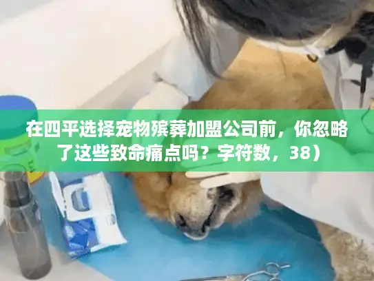 在四平选择宠物殡葬加盟公司前，你忽略了这些致命痛点吗？字符数，38）