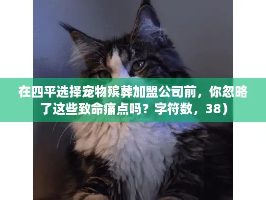 在四平选择宠物殡葬加盟公司前，你忽略了这些致命痛点吗？字符数，38）