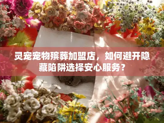 灵宠宠物殡葬加盟店，如何避开隐藏陷阱选择安心服务？