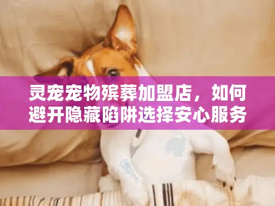 灵宠宠物殡葬加盟店，如何避开隐藏陷阱选择安心服务？