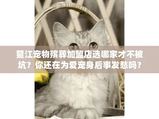 鳌江宠物殡葬加盟店选哪家才不被坑？你还在为爱宠身后事发愁吗？