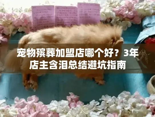 宠物殡葬加盟店哪个好？3年店主含泪总结避坑指南