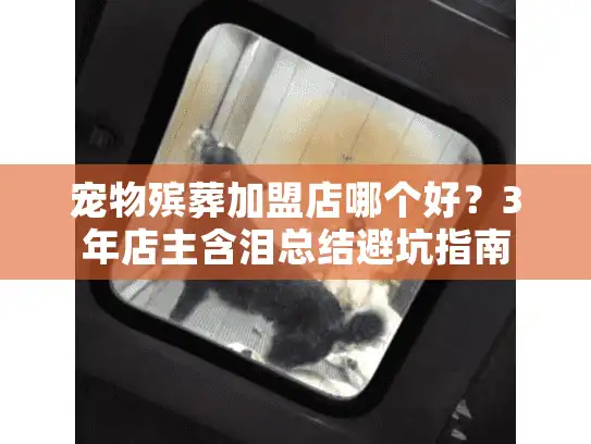 宠物殡葬加盟店哪个好？3年店主含泪总结避坑指南