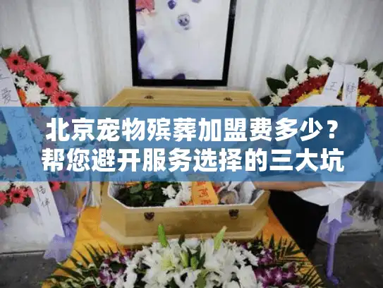 北京宠物殡葬加盟费多少？帮您避开服务选择的三大坑！