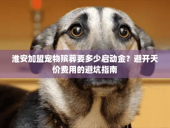 淮安加盟宠物殡葬要多少启动金？避开天价费用的避坑指南
