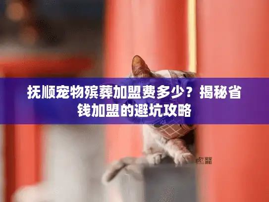 抚顺宠物殡葬加盟费多少？揭秘省钱加盟的避坑攻略