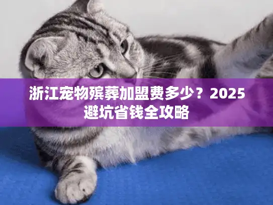 浙江宠物殡葬加盟费多少？2025避坑省钱全攻略