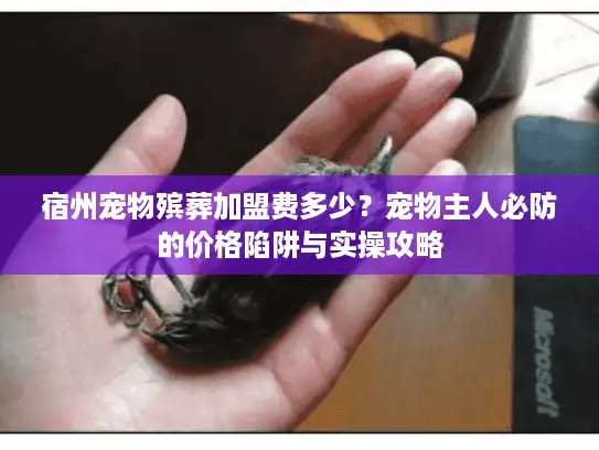 宿州宠物殡葬加盟费多少？宠物主人必防的价格陷阱与实操攻略