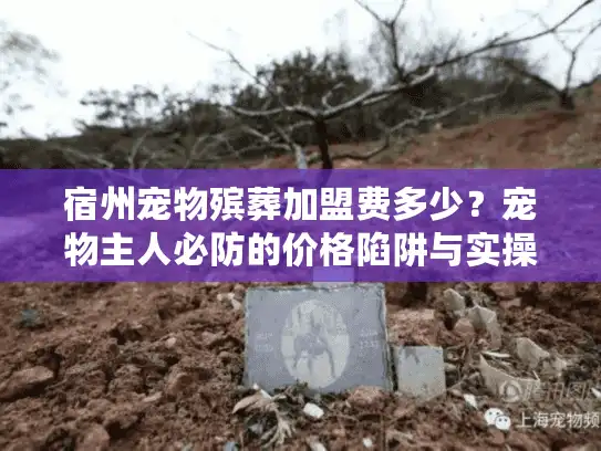 宿州宠物殡葬加盟费多少？宠物主人必防的价格陷阱与实操攻略