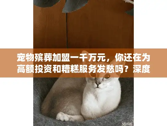 宠物殡葬加盟一千万元，你还在为高额投资和糟糕服务发愁吗？深度解析避坑之道