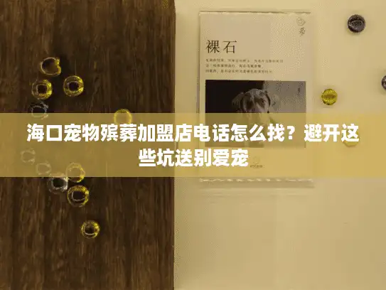 海口宠物殡葬加盟店电话怎么找？避开这些坑送别爱宠