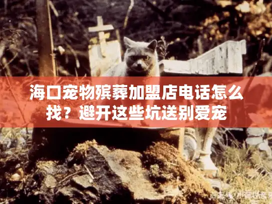 海口宠物殡葬加盟店电话怎么找？避开这些坑送别爱宠