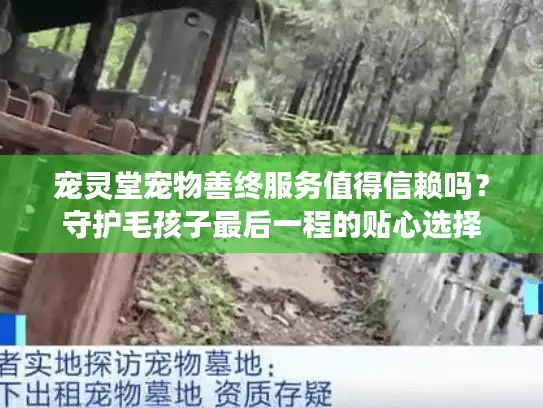 宠灵堂宠物善终服务值得信赖吗？守护毛孩子最后一程的贴心选择