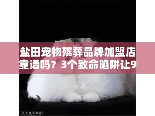 盐田宠物殡葬品牌加盟店靠谱吗？3个致命陷阱让90%加盟商血本无归