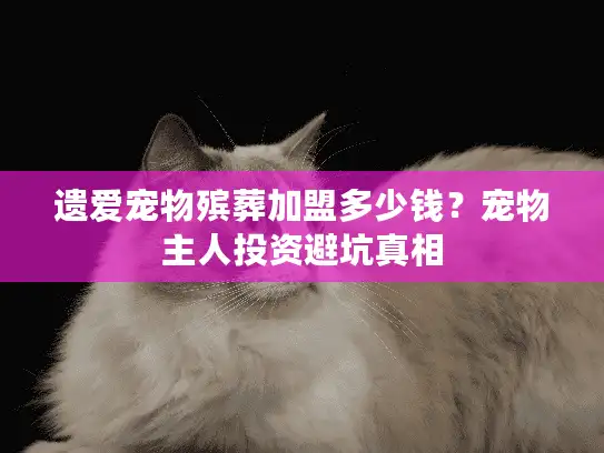 遗爱宠物殡葬加盟多少钱？宠物主人投资避坑真相
