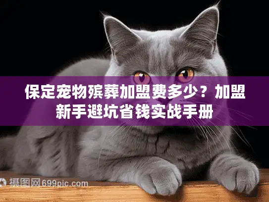 保定宠物殡葬加盟费多少？加盟新手避坑省钱实战手册