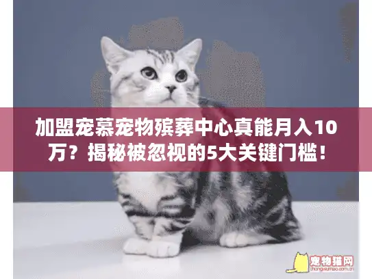 加盟宠慕宠物殡葬中心真能月入10万？揭秘被忽视的5大关键门槛！
