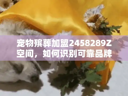 宠物殡葬加盟2458289Z空间，如何识别可靠品牌避免损失？