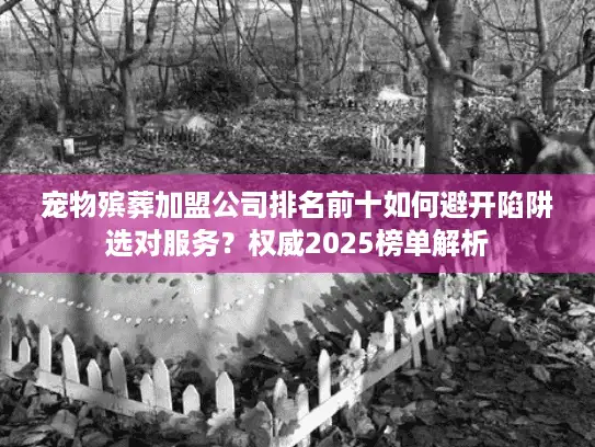 宠物殡葬加盟公司排名前十如何避开陷阱选对服务？权威2025榜单解析