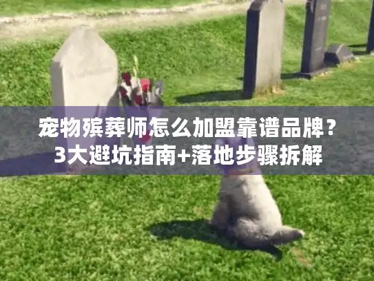 宠物殡葬师怎么加盟靠谱品牌？3大避坑指南+落地步骤拆解