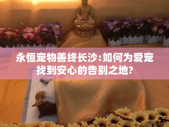 永恒宠物善终长沙:如何为爱宠找到安心的告别之地?