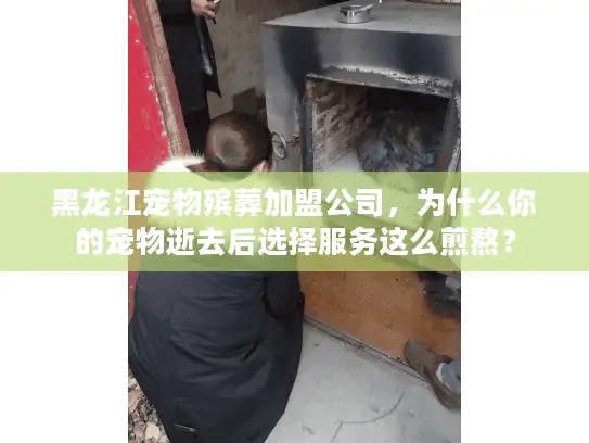 黑龙江宠物殡葬加盟公司，为什么你的宠物逝去后选择服务这么煎熬？