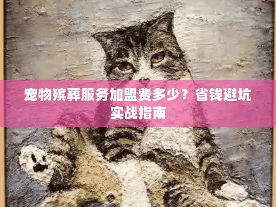 宠物殡葬服务加盟费多少？省钱避坑实战指南