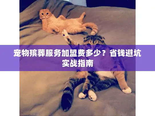 宠物殡葬服务加盟费多少？省钱避坑实战指南