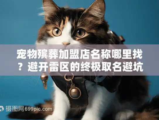 宠物殡葬加盟店名称哪里找？避开雷区的终极取名避坑指南