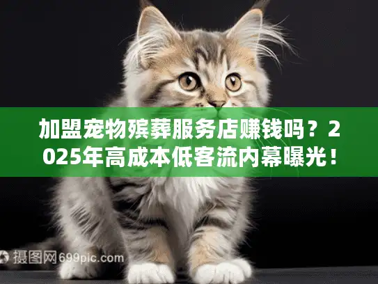 加盟宠物殡葬服务店赚钱吗？2025年高成本低客流内幕曝光！