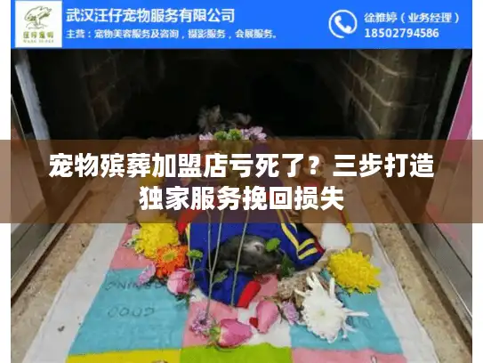 宠物殡葬加盟店亏死了？三步打造独家服务挽回损失