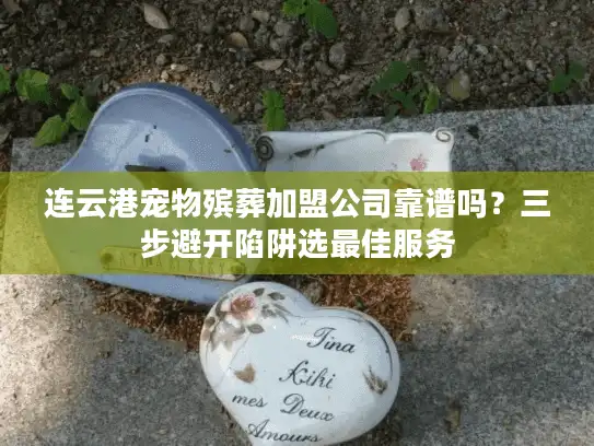 连云港宠物殡葬加盟公司靠谱吗？三步避开陷阱选最佳服务