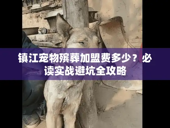 镇江宠物殡葬加盟费多少？必读实战避坑全攻略