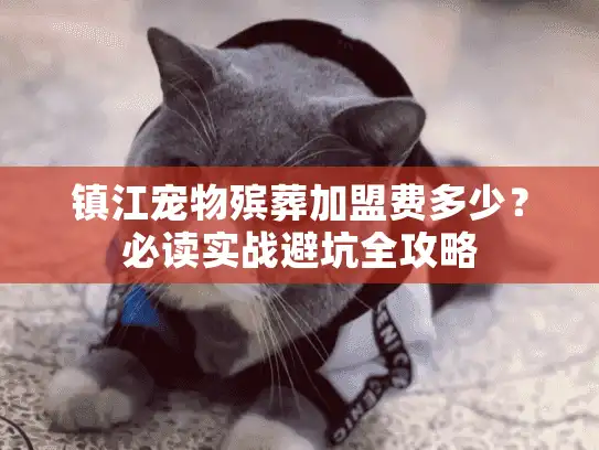 镇江宠物殡葬加盟费多少？必读实战避坑全攻略