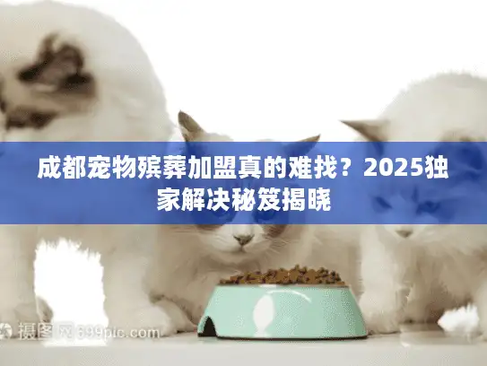 成都宠物殡葬加盟真的难找？2025独家解决秘笈揭晓